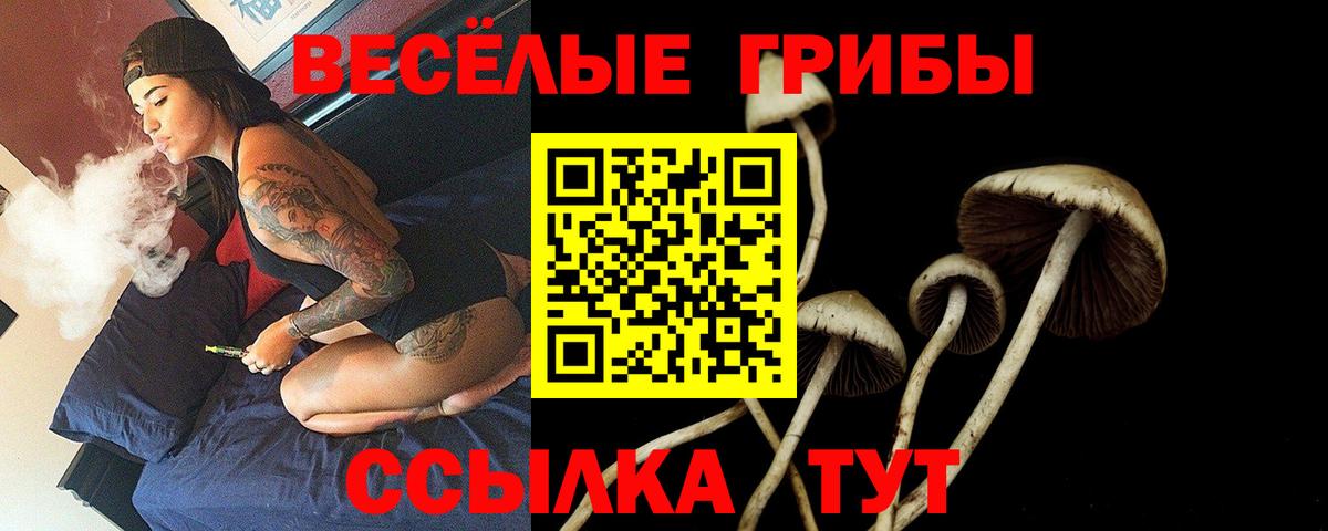 где купить наркоту  Вход с VPN  Карпинск  Галлюциногенные грибы Psilocybine cubensis 